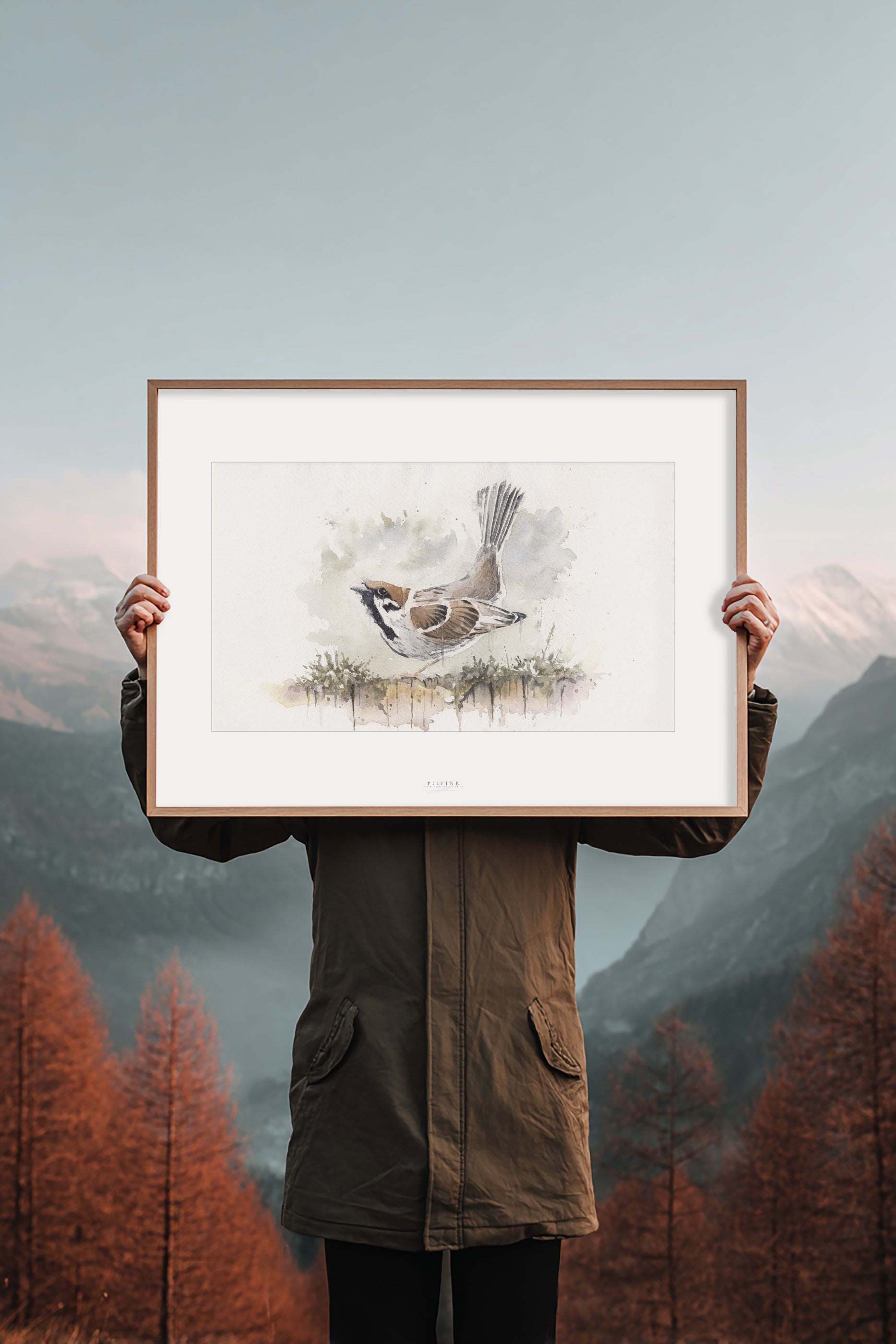 Pilfink | Fine Art Print | 50x70 - 30x40