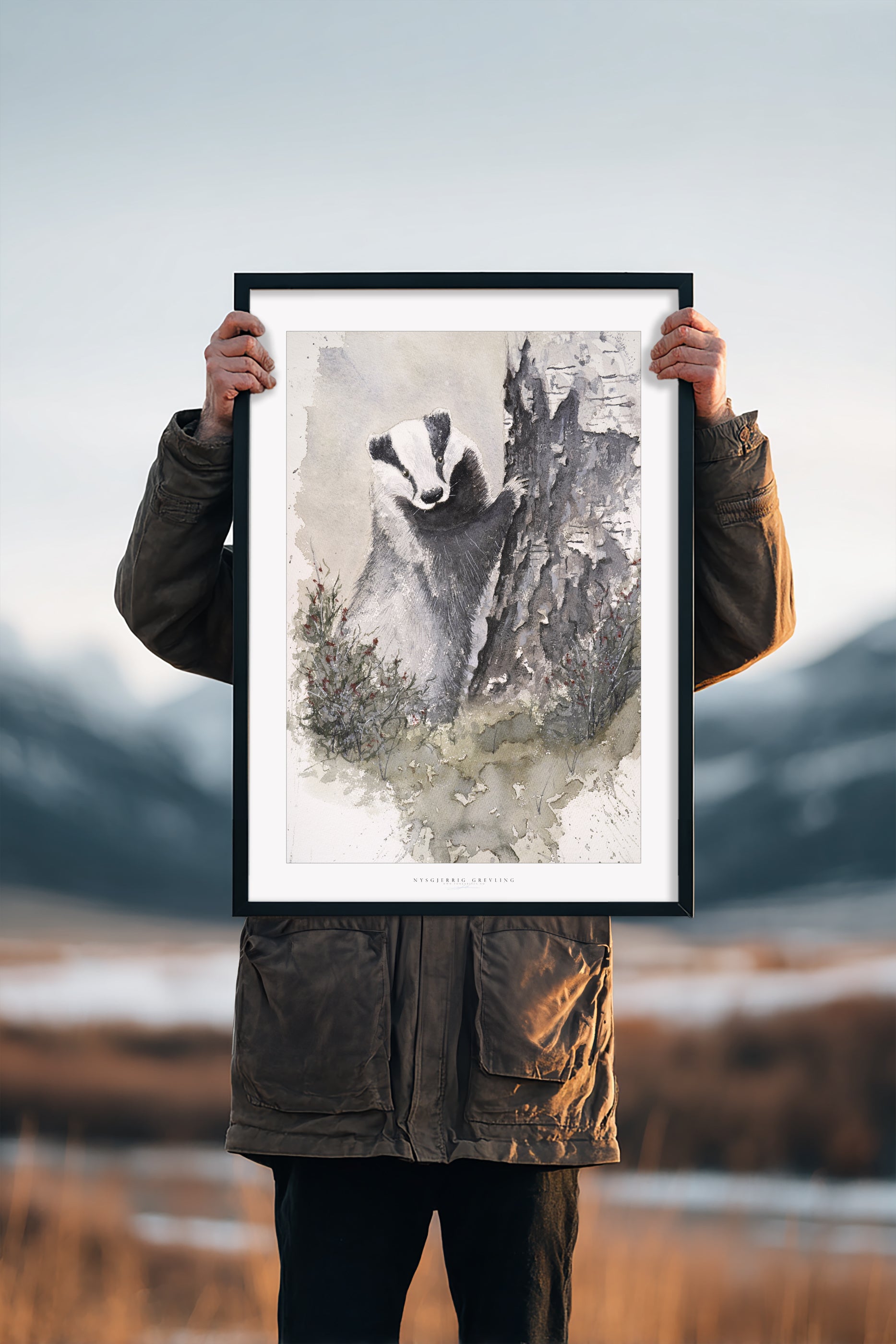 nysgjerrig grevling | Fine Art Print | 50x70 - 30x40