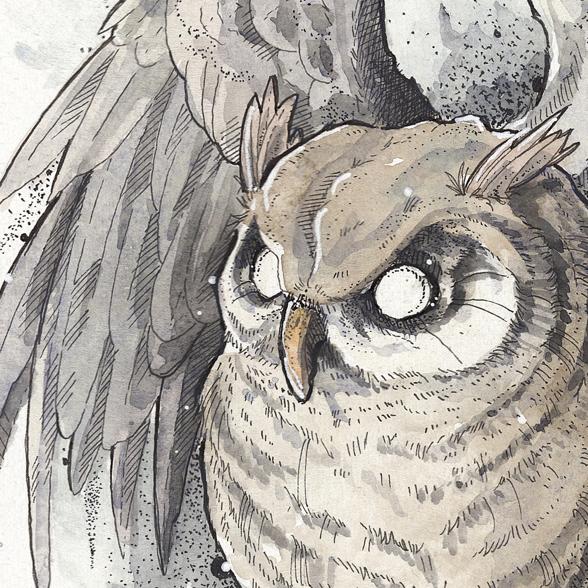 Owl #2  | 50x70 cm / 20x28″ | Fine art print
