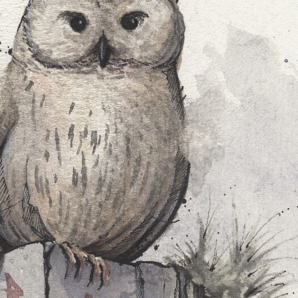 Owl  | 50x70 cm / 20x28″ | Fine art print