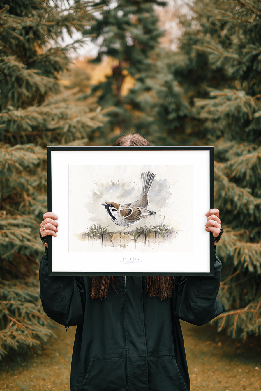 PILFINK | Fine Art Poster 30x40 cm